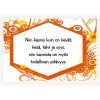 runo magneetti köynös 4